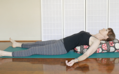 Supported Fish Pose